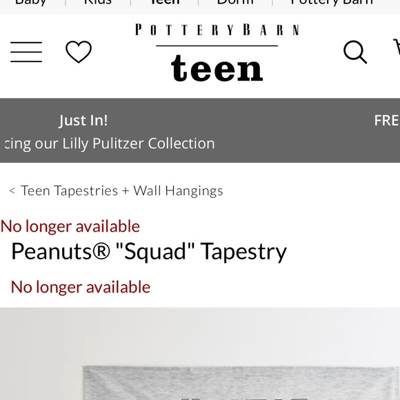 Pottery Barn Teen Peanuts Charlie Brown and Gang “Squad” Cotton Wall Tapestry - Picture 12 of 13
